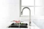 Single Handle High Arc Brushed Nickel Pull Out Kitchen Faucet,Single Level Stainless Steel Kitchen Sink Faucets with Pull Down Sprayer