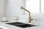 Utility Sink Faucets Single-Handle Pull-Out Laundry Faucet with Dual Spray Function in Stainless Spot Resistant Gold