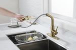 Utility Sink Faucets Single-Handle Pull-Out Laundry Faucet with Dual Spray Function in Stainless Spot Resistant Gold