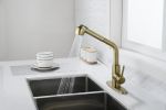 Utility Sink Faucets Single-Handle Pull-Out Laundry Faucet with Dual Spray Function in Stainless Spot Resistant Gold